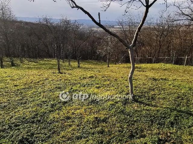 Eladó mezőgazdasági ingatlan Tapolca 1131 nm