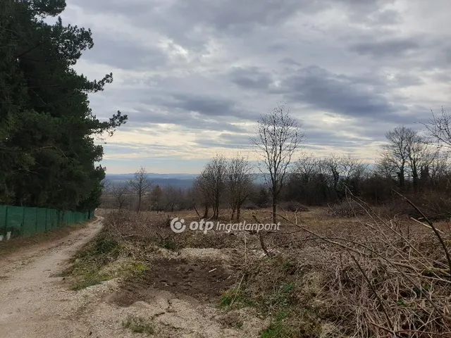 Eladó mezőgazdasági ingatlan Zalaszántó 2152 nm