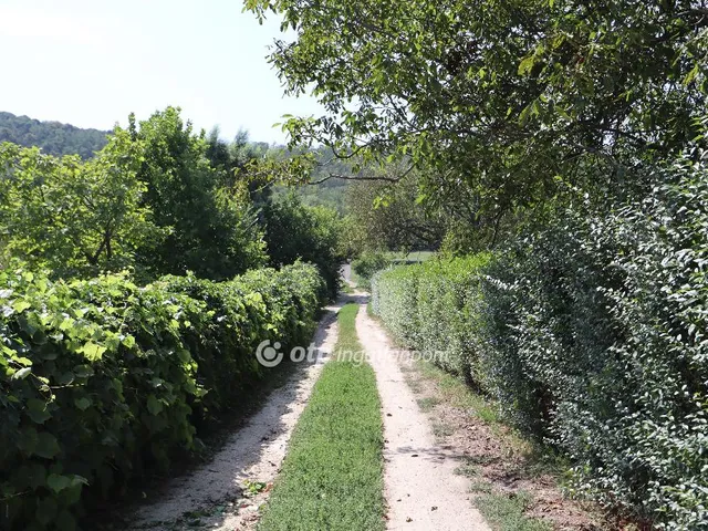 Eladó telek Mindszentkálla 823 nm