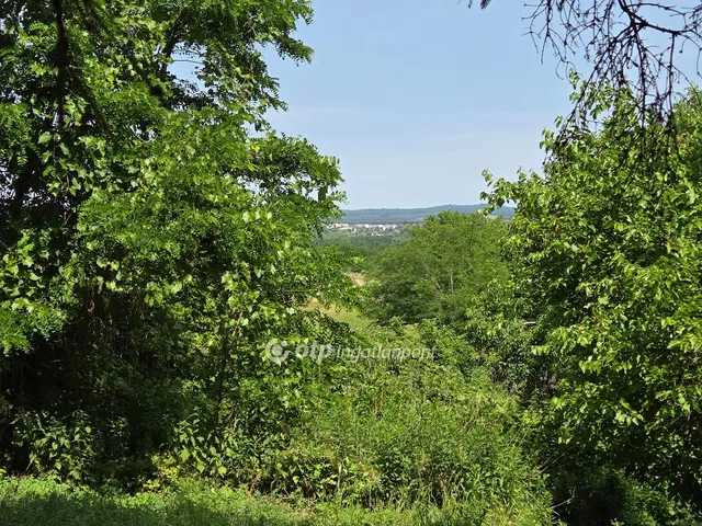 Eladó mezőgazdasági ingatlan Tapolca 3018 nm