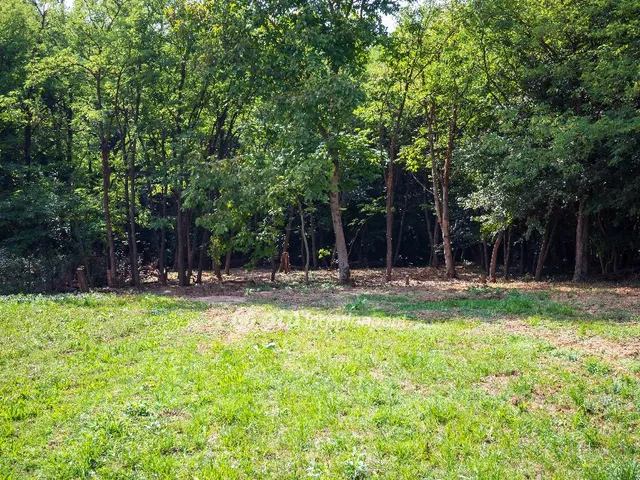 Eladó telek Nemesbük 1198 nm