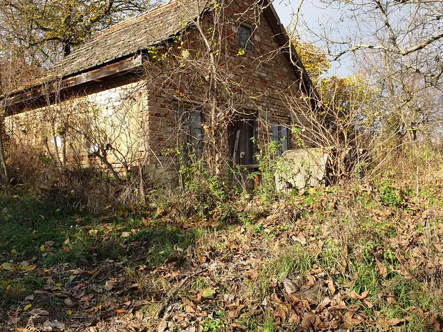 Eladó mezőgazdasági ingatlan Szabadhidvég 2236 nm
