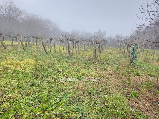 Eladó mezőgazdasági ingatlan Lesencefalu 2050 nm