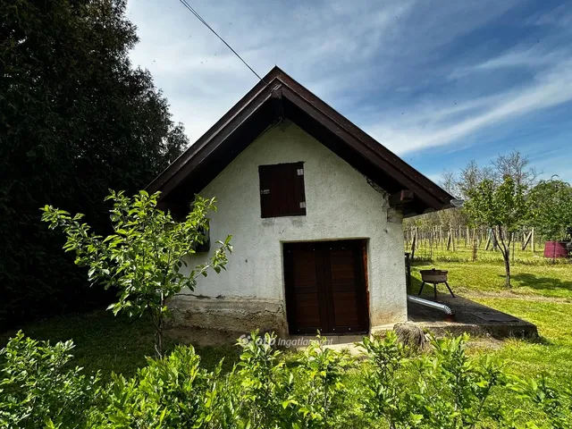 Eladó mezőgazdasági ingatlan Lesencefalu 2050 nm