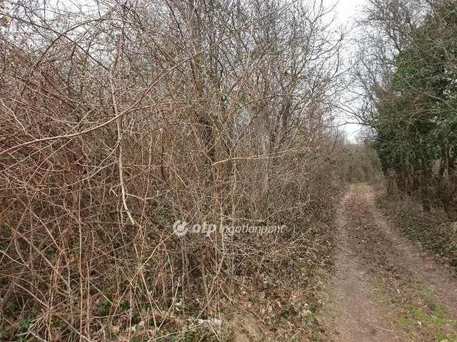 Eladó telek Zalaszántó 2152 nm