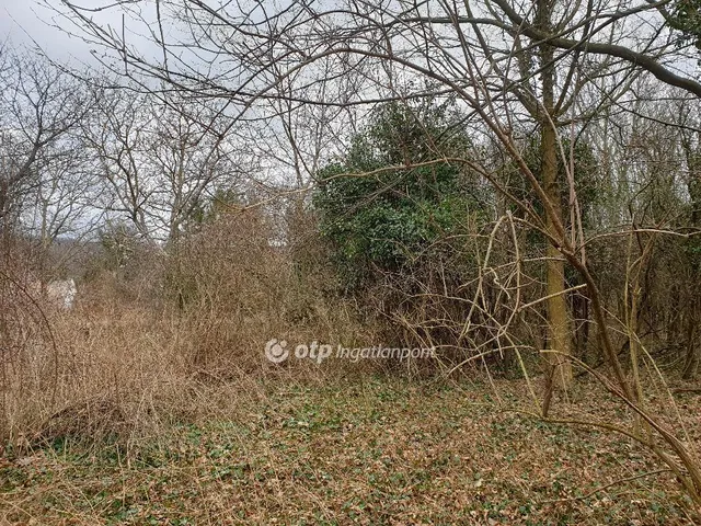 Eladó telek Zalaszántó 2152 nm