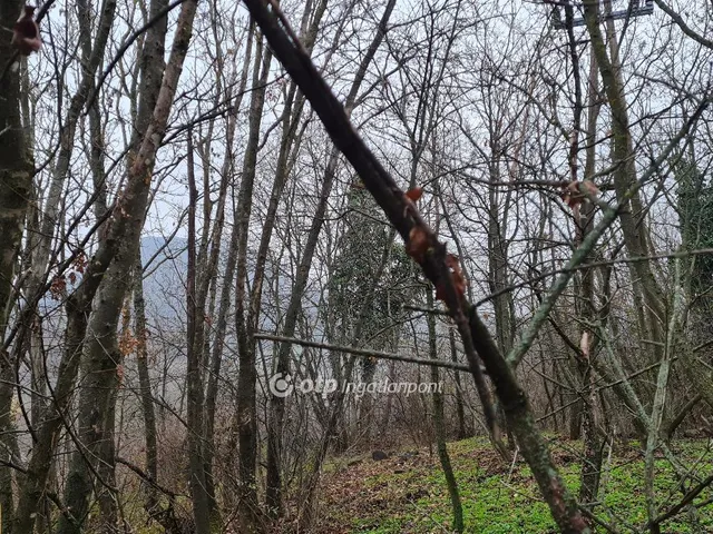 Eladó telek Tapolca 5733 nm