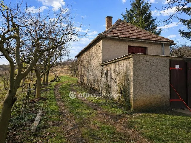 Eladó mezőgazdasági ingatlan Káptalantóti 5798 nm