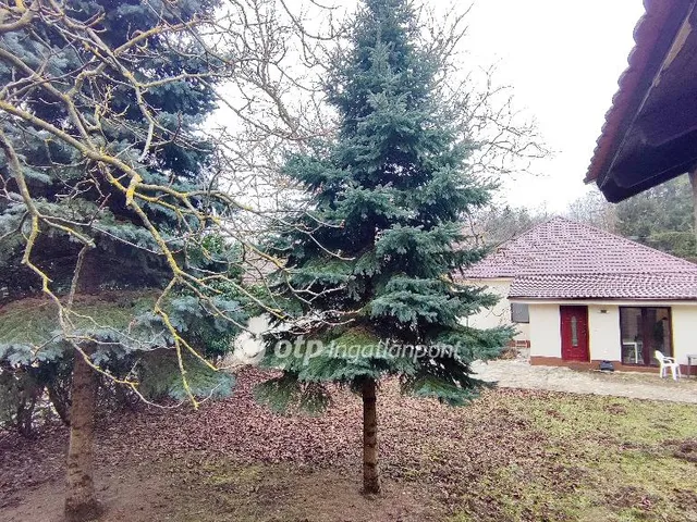 Eladó ház Hévíz 146 nm