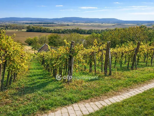 Eladó mezőgazdasági ingatlan Mindszentkálla 3667 nm