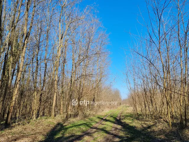 Eladó mezőgazdasági ingatlan Inke 204892 nm