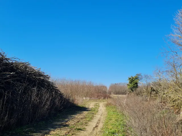 Eladó mezőgazdasági ingatlan Inke 204892 nm