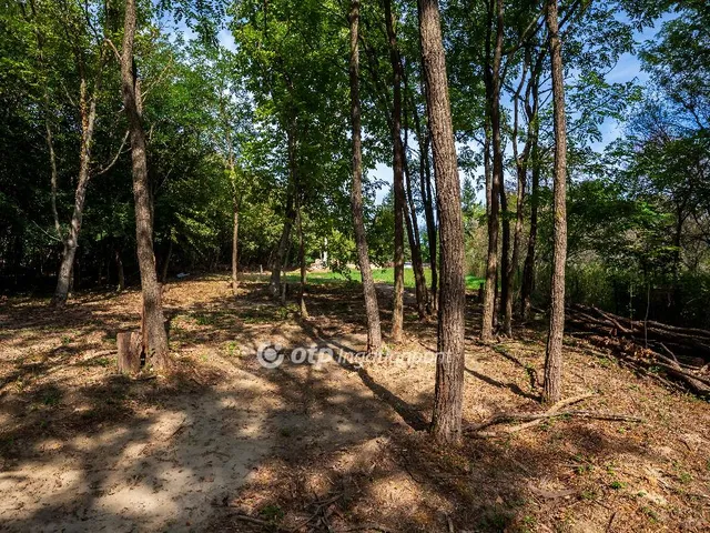 Eladó üdülő és hétvégi ház Nemesbük 35 nm