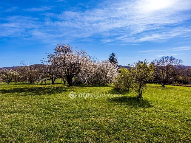 Eladó telek Várvölgy 6363 nm