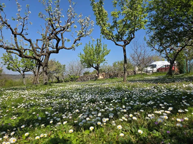 Eladó mezőgazdasági ingatlan Zalahaláp 2960 nm