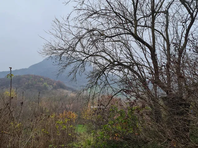 Eladó telek Tapolca 5733 nm