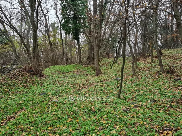 Eladó telek Tapolca 5733 nm