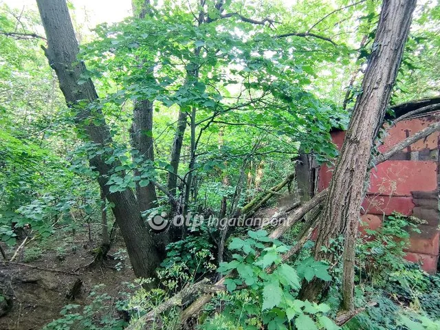 Eladó mezőgazdasági ingatlan Karmacs 3261 nm