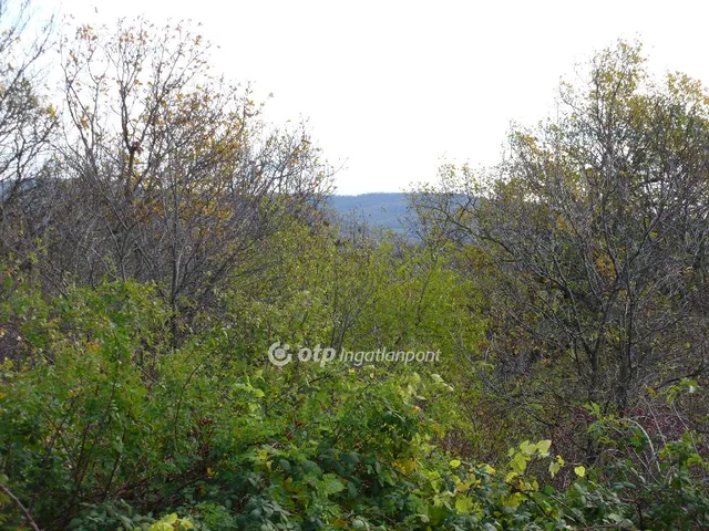 Eladó telek Zalahaláp 6124 nm