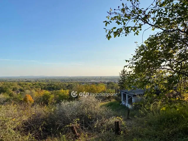 Eladó telek Vác, Kertváros 4256 nm