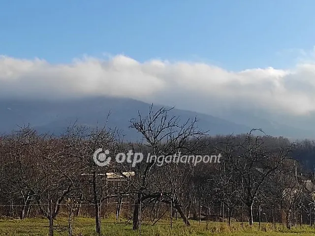 Eladó telek Pásztó, Hasznos 841 nm