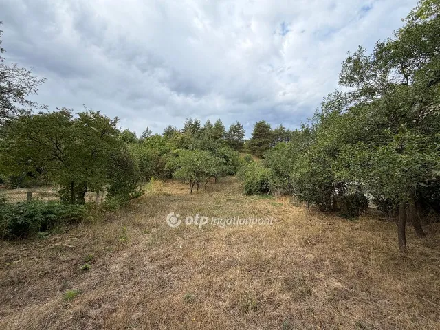Eladó telek Alsópetény 1300 nm