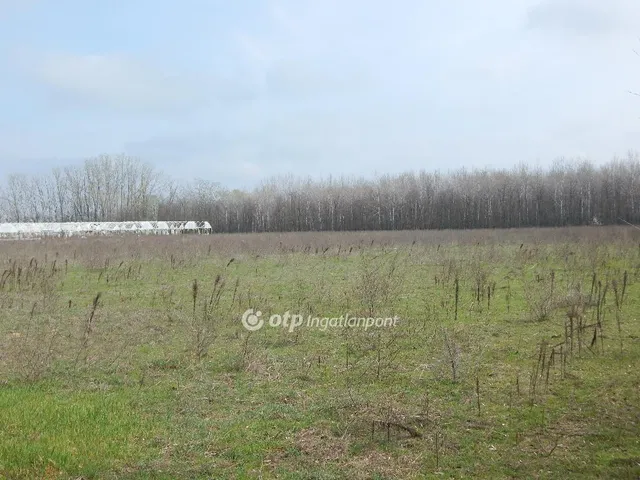 Eladó mezőgazdasági ingatlan Nyársapát 344150 nm