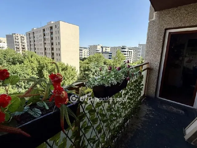 Eladó lakás Budapest XIII. kerület 66 nm