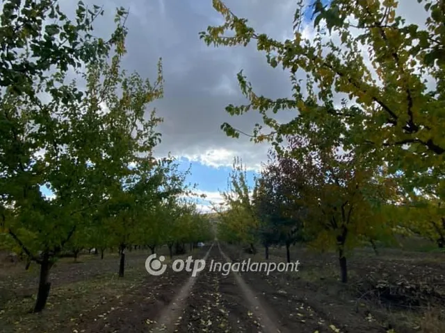 Eladó mezőgazdasági ingatlan Pomáz 9511 nm