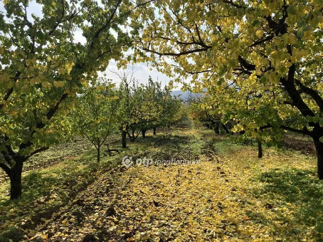 Eladó mezőgazdasági ingatlan Pomáz 9511 nm