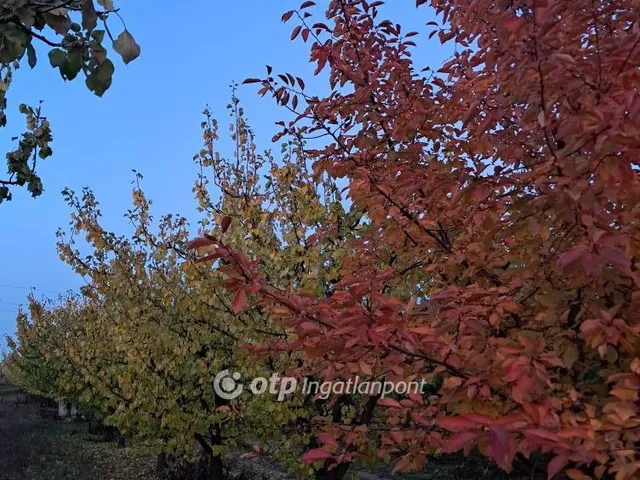 Eladó mezőgazdasági ingatlan Pomáz 9511 nm