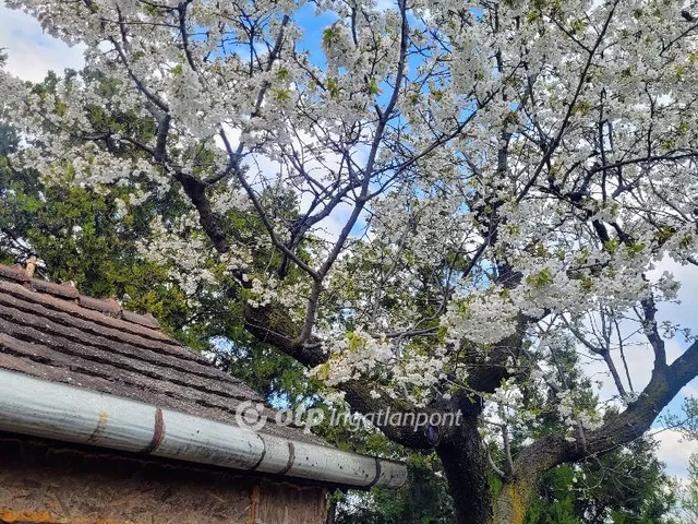 Eladó telek Budapest XXII. kerület 934 nm