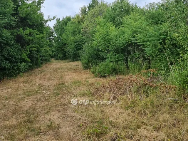 Eladó telek Budakeszi 2630 nm
