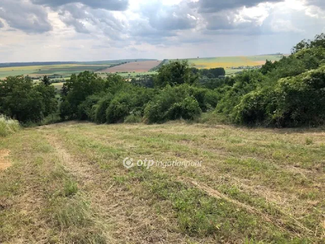 Eladó telek Aszód 2696 nm