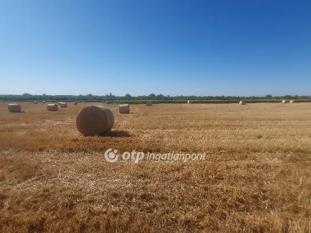 Eladó mezőgazdasági ingatlan Tiszalúc 300049 nm