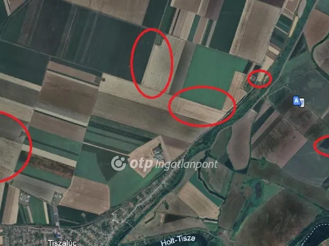 Eladó mezőgazdasági ingatlan Taktaharkány 152800 nm