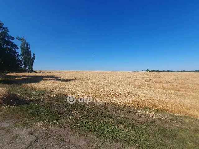 Eladó mezőgazdasági ingatlan Taktaharkány 152800 nm