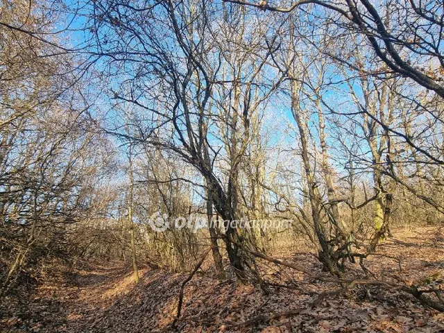 Eladó mezőgazdasági ingatlan Pilisborosjenő 29029 nm