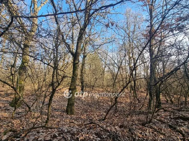 Eladó mezőgazdasági ingatlan Pilisborosjenő 29029 nm