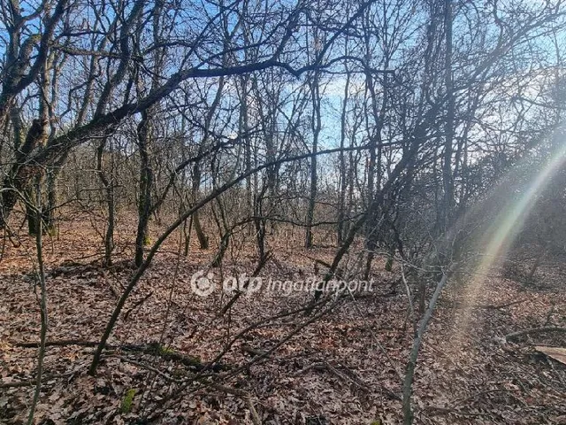 Eladó mezőgazdasági ingatlan Pilisborosjenő 29029 nm