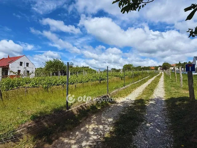 Eladó telek Felsőörs 2419 nm