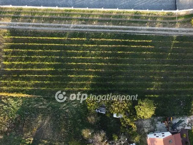Eladó telek Felsőörs 2419 nm