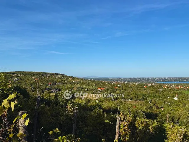 Eladó telek Szentkirályszabadja 4309 nm