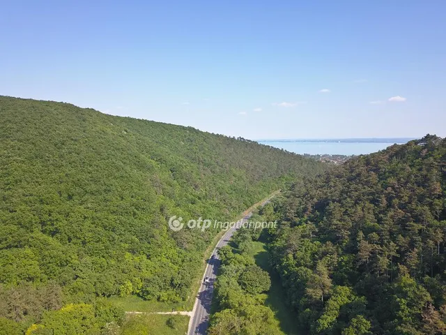 Eladó kereskedelmi és ipari ingatlan Csopak 245 nm