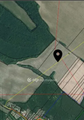 Eladó mezőgazdasági ingatlan Vácegres 6235 nm