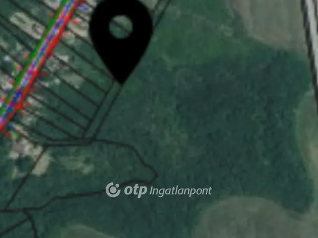 Eladó mezőgazdasági ingatlan Galgagyörk 16690 nm