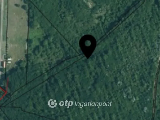Eladó mezőgazdasági ingatlan Váckisújfalu 5769 nm
