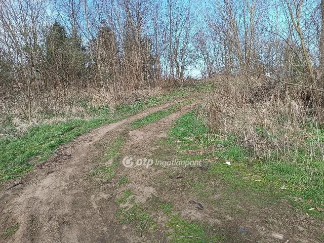 Eladó ház Nyíregyháza, Vajdabokor 100 nm