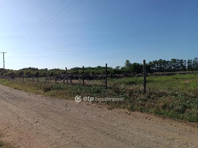 Eladó telek Nyíregyháza, Nyírszőlős vége 16000 nm
