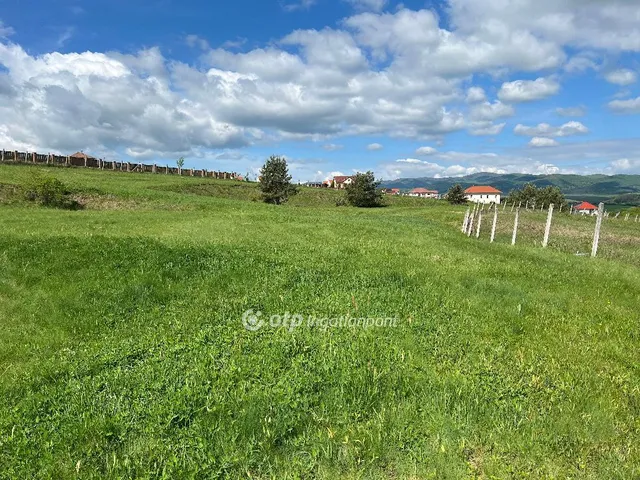 Eladó telek Berkenye 1760 nm